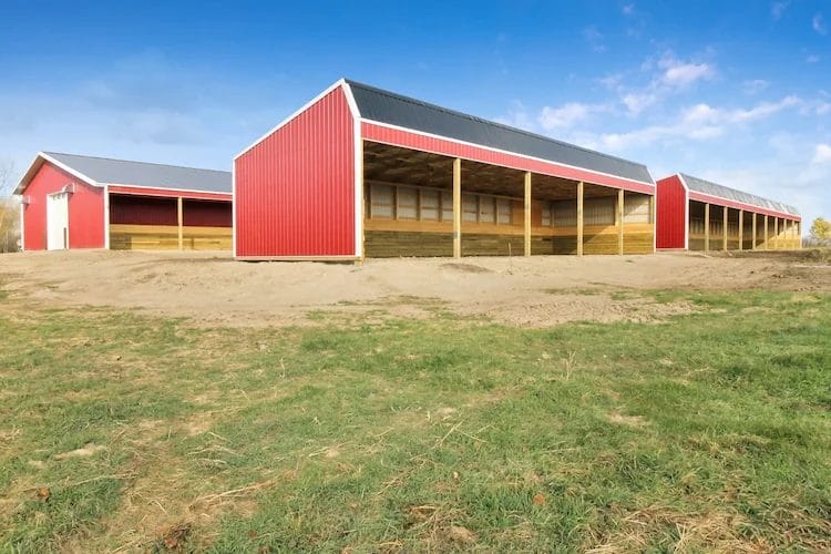 Three cattle shelters. Two of them are standalone structures and the third is attached to a calving barn.