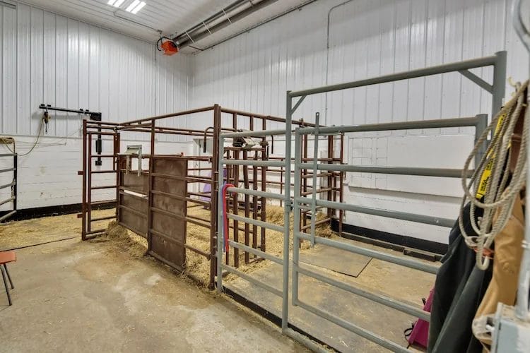 Maternity pens inside a custom calving barn.