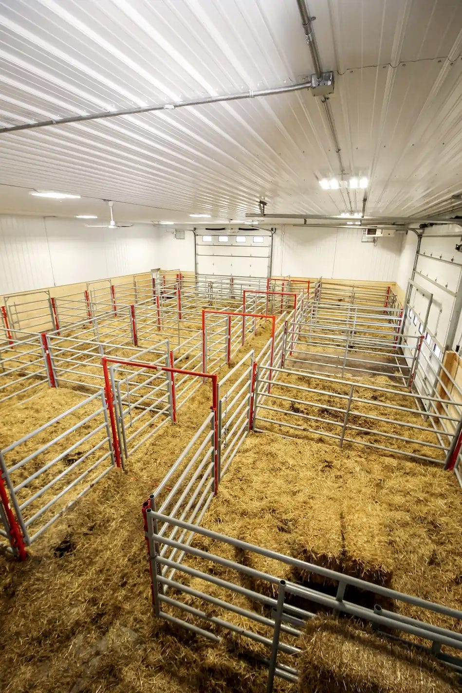 Interior of livestock barn for winter calving with kick wall installed around the perimeter for protection
